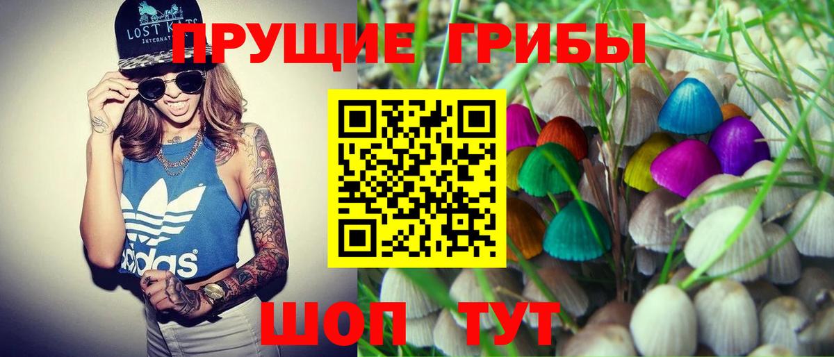 Печора  Псилоцибиновые грибы ЛСД  Вход с VPN  Галлюциногенные грибы GOLDEN TEACHER 