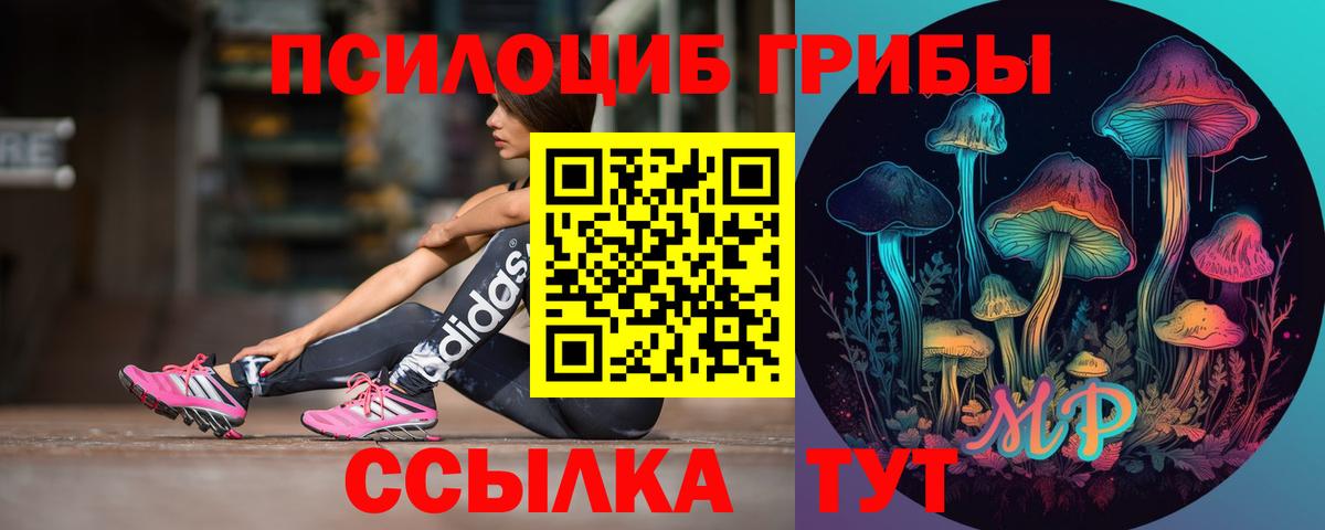 Галлюциногенные грибы Cubensis Печора